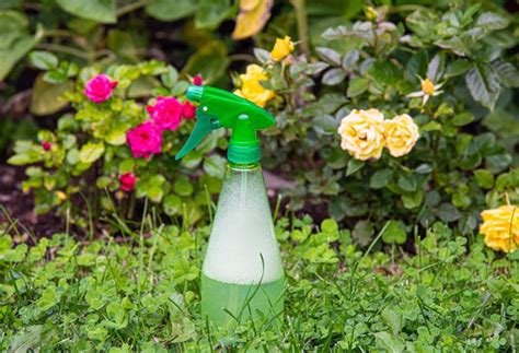 7 Surprising Household Materials Used as Garden Fertilizers and More ...