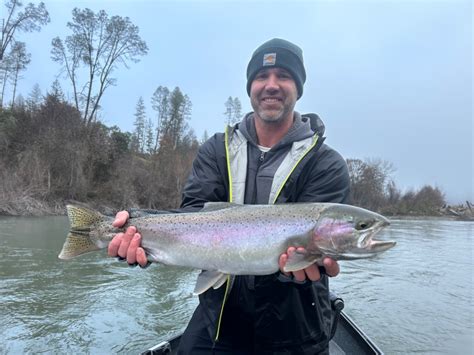 Trinity River Fish Report - Trinity River - Trinity River steelhead ...