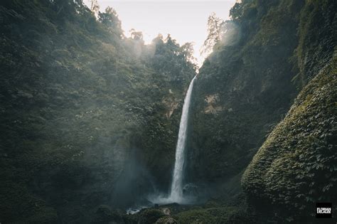 Image result for Java Sea Indonesia