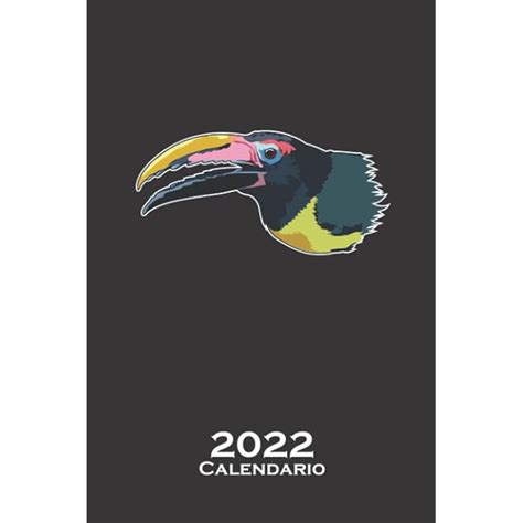Buy Pájaro tucán de aracari verde Calendario 2022: Calendario anual ...