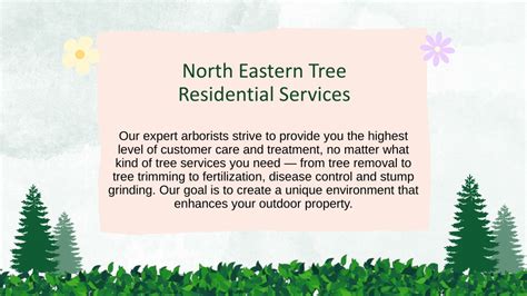 Northeastern Tree Service 的图像结果