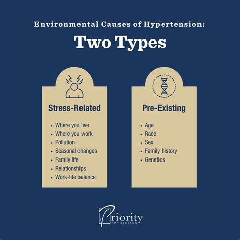Environmental Causes of High Blood Pressure (Hypertension)