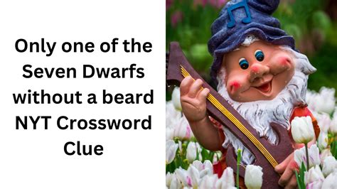 Only one of the Seven Dwarfs without a beard NYT Crossword Clue ...