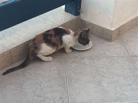 VILLA MARIOS (Milos) - Villa Reviews, Photos, Rate Comparison - Tripadvisor