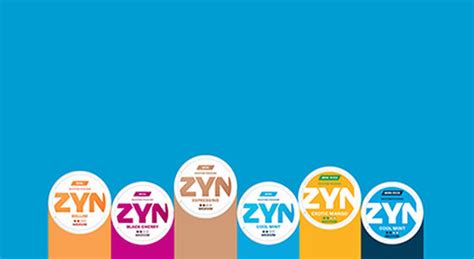 Image result for zyn