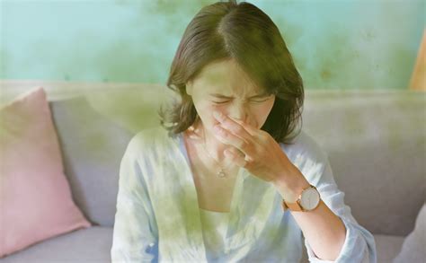 Why do my farts smell so bad? Quick fixes that help - Oshi Health