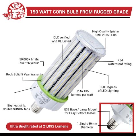 Light Bulb Basics - Bases and Types