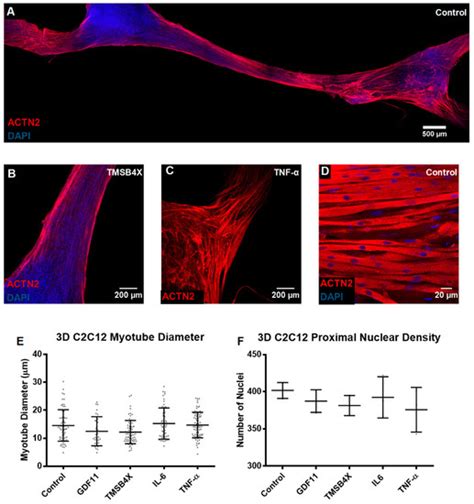 Biology | June 2021 - Browse Articles