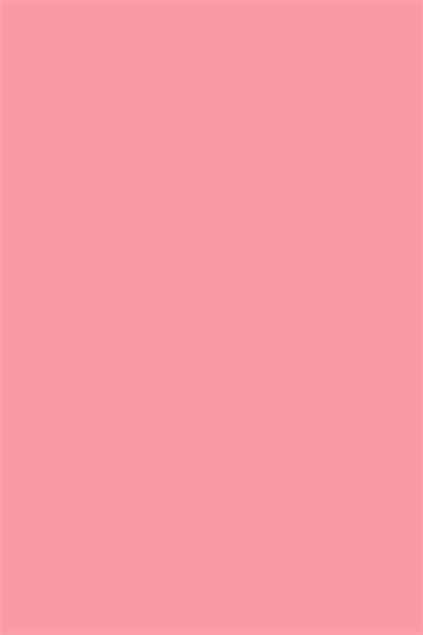 Coral Pink – Artista Prop Shop