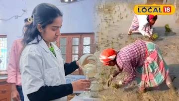 Agriculture News: কোন জমিতে কোন ফসল চাষ করলে লাভ! এক পরীক্ষাতেই কৃষকদের ...