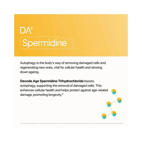 Decode Age Spermidine Trihydrochloride (60 Capsules) - Cureka - Online ...