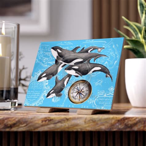 Orca Whales Pod Family Nautical Map Compass Blue Art Ceramic Photo Til ...
