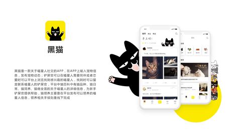 黑猫社交APP重设计|UI|APP界面|十二KARMA - 原创作品 - 站酷 (ZCOOL)