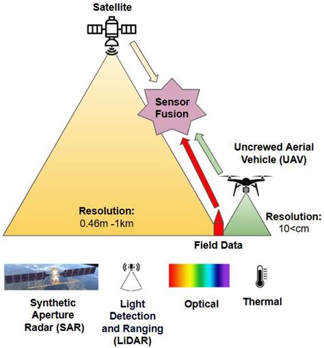 Advancing Sparse Vegetation Monitoring in the Arctic and Antarctic: A ...