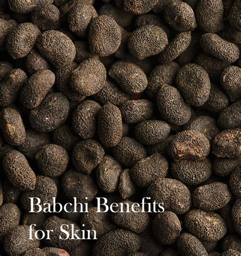 Babchi: A Wonder Ingredient for Your Skin - beautybybie