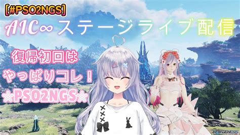 PSO2 AIC 的图像结果