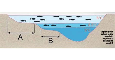 Prolećna riblja čorba