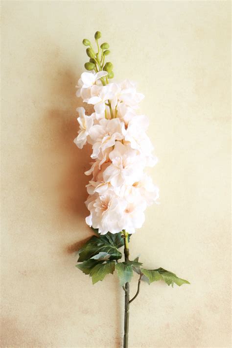 Gladiolus - Cream – Artista Prop Shop