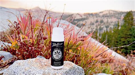 Mobile CBD Extraction Lab 的图像结果