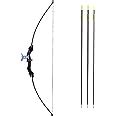Buy IRIS Take Down Bow for Outdoor Hunting Practice Shooting ...
