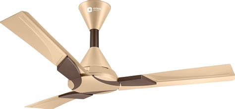 Buy Orient Electric Wendy Antidust 120MM Decorative Ceiling Fan (Golden ...