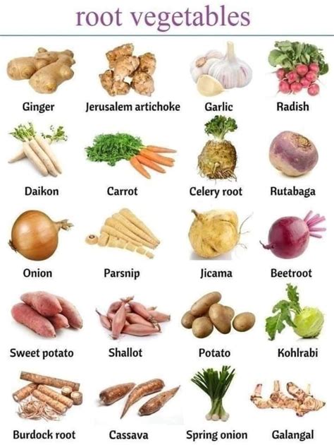 Image result for Vegetables Examples