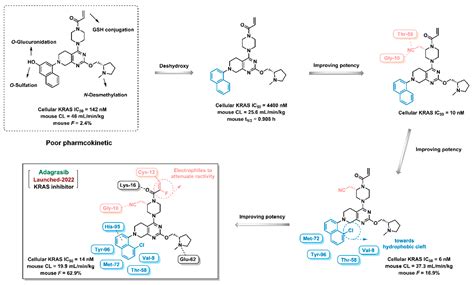 An Updated Review on Developing Small Molecule Kinase Inhibitors Using ...