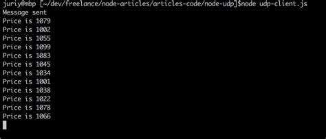 Image result for UDP Client Server Application Python