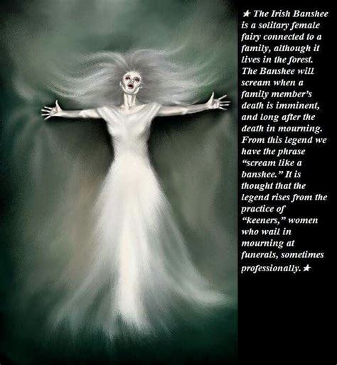 Image result for Mythical Banshee