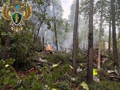 Image result for Alien Crash in Russia