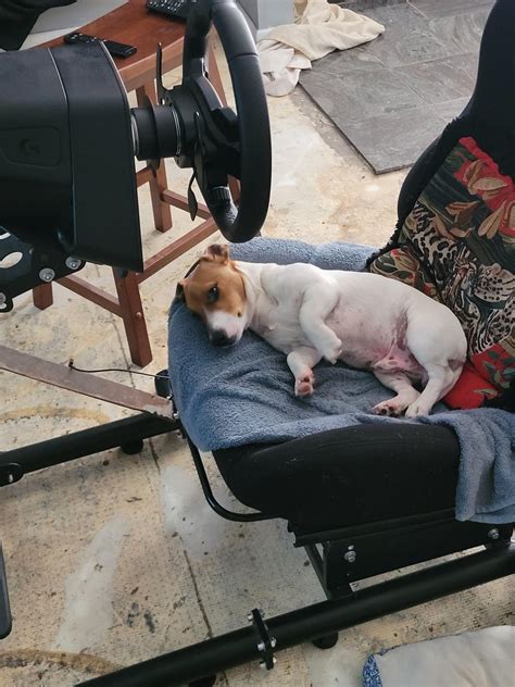 Image result for How to Open Logitech Drivers