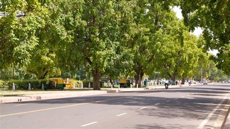 Delhi Colonies Clear Trees to Make Room for Cars. A Forest Official ...