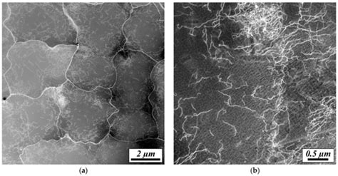 Transmission Electron Microscopy of a CMSX-4 Ni-Base Superalloy ...