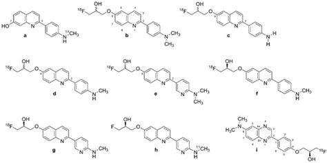 Biomolecules | Special Issue : Novel Imaging Biomarkers for Brain PET ...