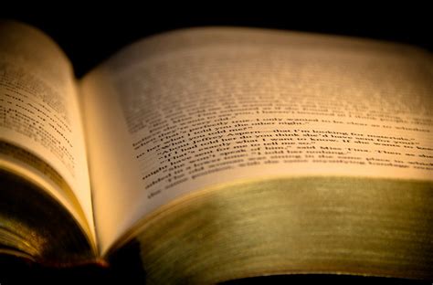 Image result for Writing XPath in Selenium