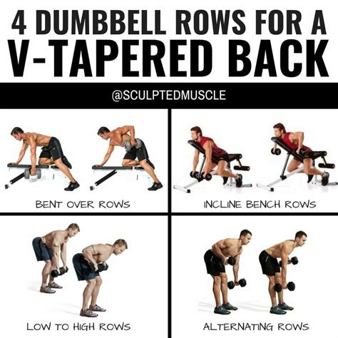 Printable Dumbbell Back Exercises