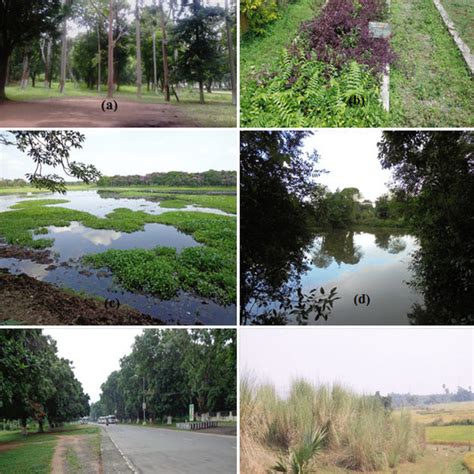 环境 的图像结果