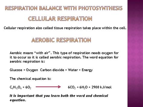Equation For Aerobic Cellular Respiration In Words - Tessshebaylo