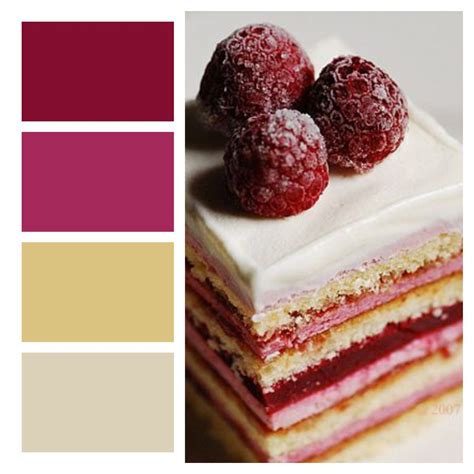 Image result for Warm Raspberry Color