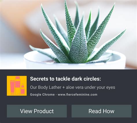 Image result for Shopcontroller Web Notifications