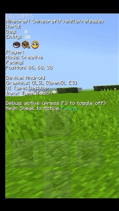 Minecraft Java F3 Texture 的图像结果