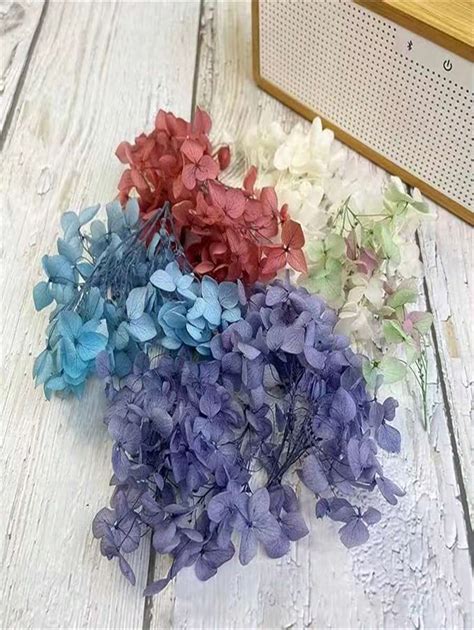 Boule de fleurs éternelles brodées, fleurs vraies de grade A, fleurs ...