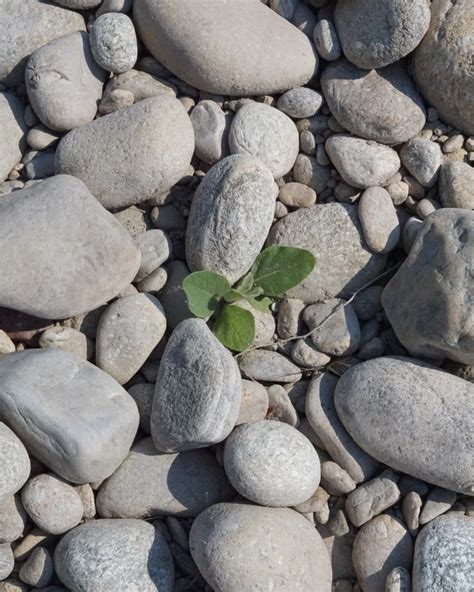 Eva Langwin | I thought this pic was so deep | Instagram