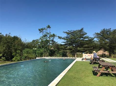 Hippo Farm - Bien Hoa | Tripadvisor