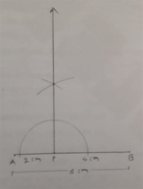 AB is a line segment which is 6 cm long. Pis a point on AB at a ...