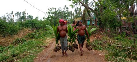 Eco initiatives - Magicdecor®