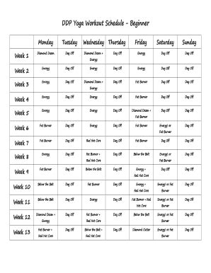 47+ Free Editable Workout Schedule Templates in MS Word [DOC] | pdfFiller