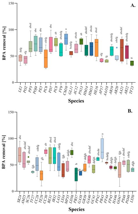 Exploring the Potential of Fungal Biomass for Bisphenol A Removal in ...