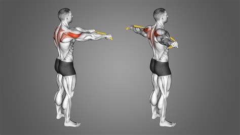 5 Band Pull Apart Alternatives to Target the Delts - Inspire US