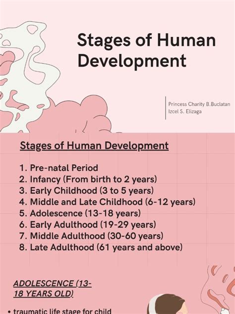 Image result for Human Development Stages Chart